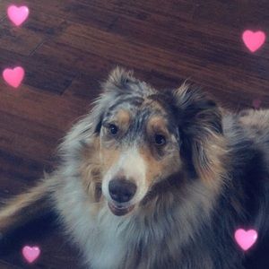 Meet your Posher, Brooke